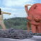 Giant Woman vs Big Octopus (2011)