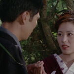 World of Geisha (1973)