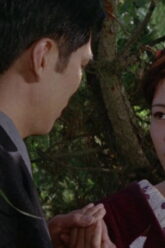 World of Geisha (1973)