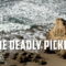 Deadly Pickup (2016)